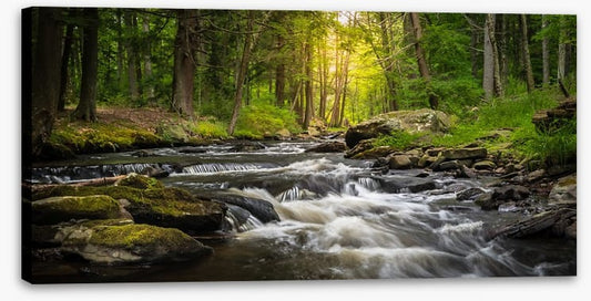 Dingman's Creek cascades