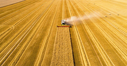 Agriculture