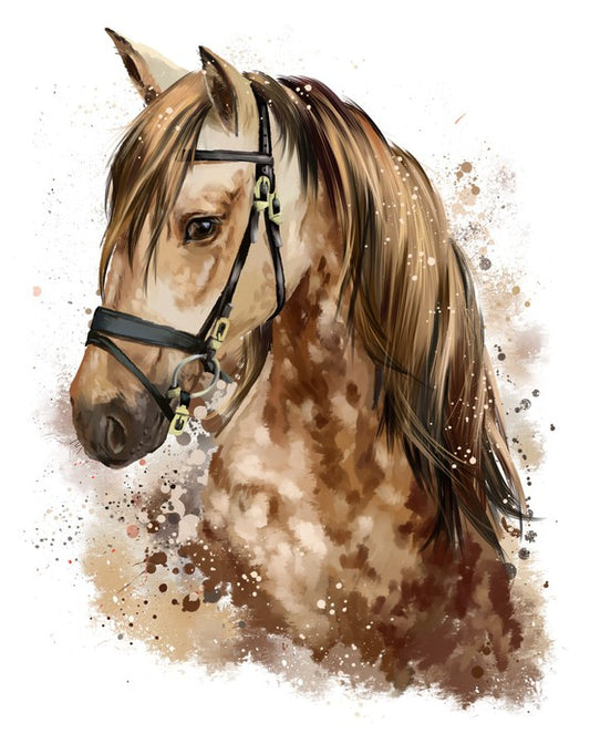 The gentle mare