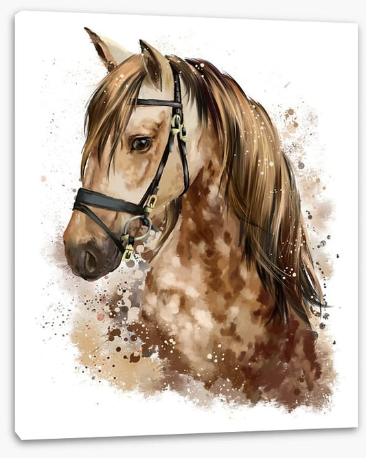 The gentle mare