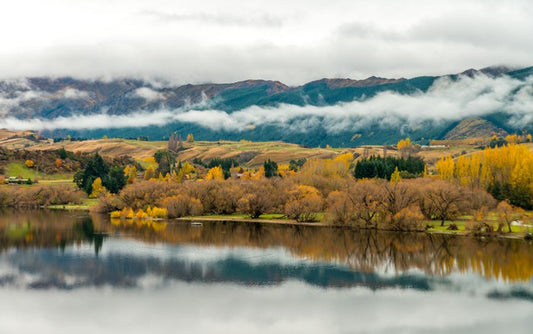 New Zealand