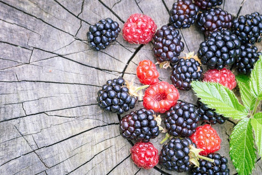Berries laid bare