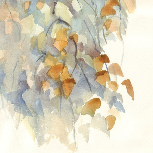 Shadows in the birch
