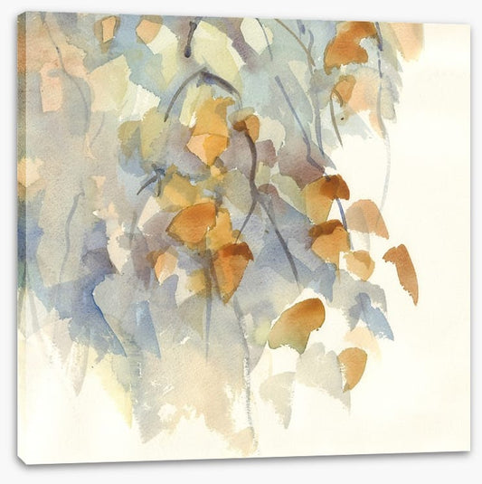 Shadows in the birch