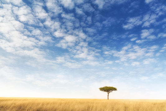Africa