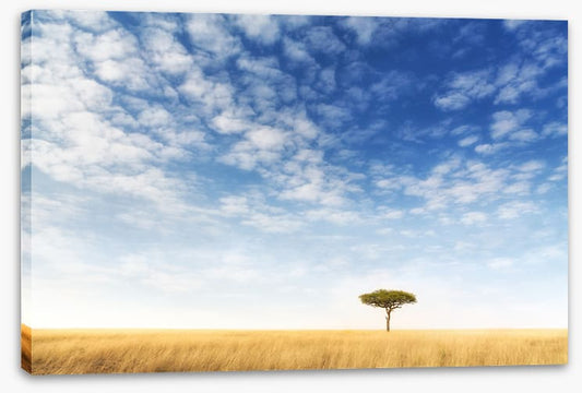 Africa