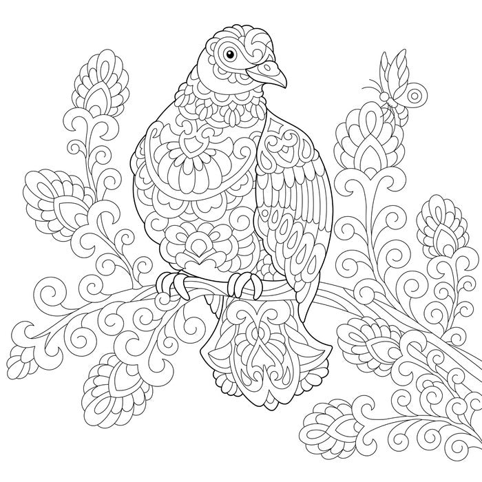 Colour me dove