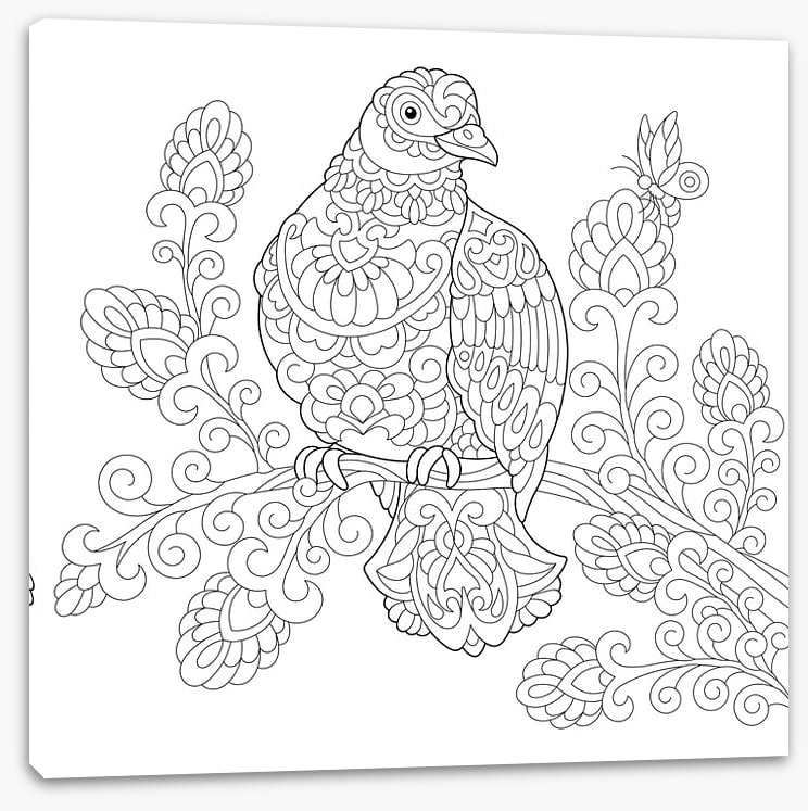 Colour me dove