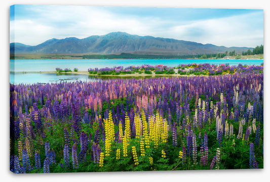 New Zealand
