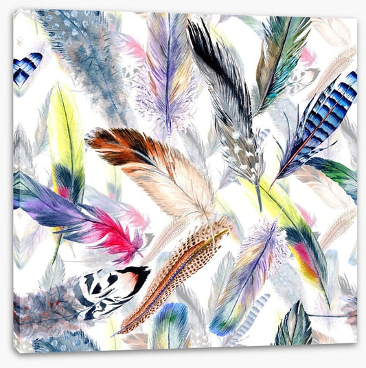 Falling feathers