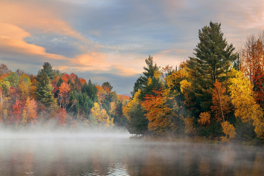 Lakes