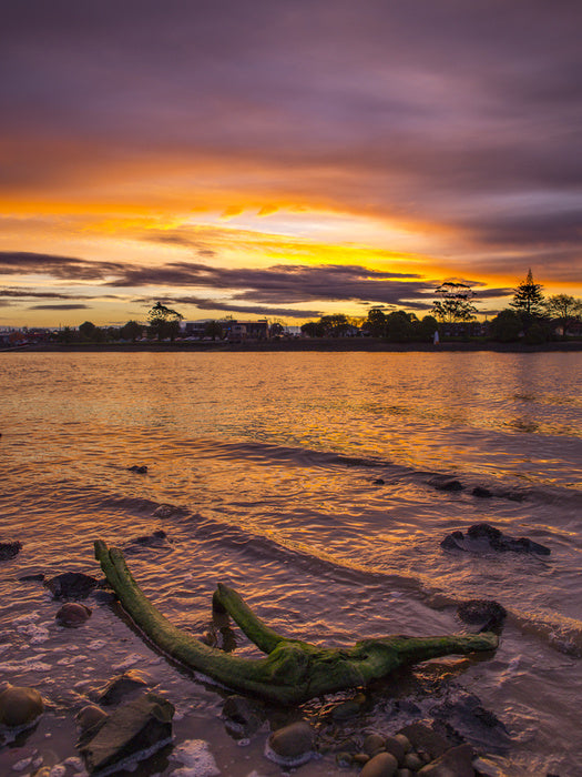 Tasmania