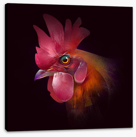 Red rooster