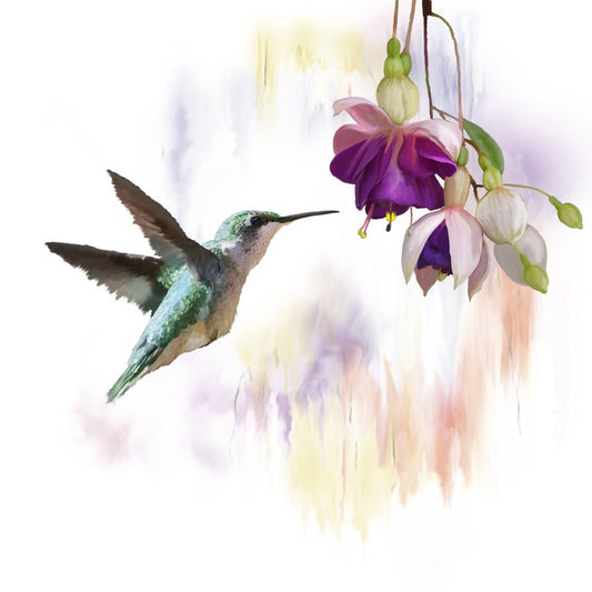 Fuchsia and flight