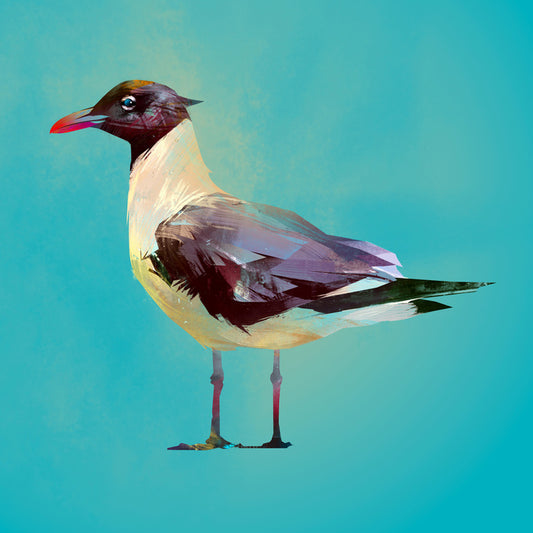 Seagull standoff