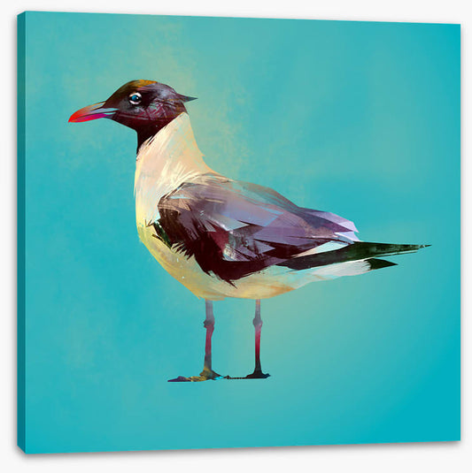 Seagull standoff