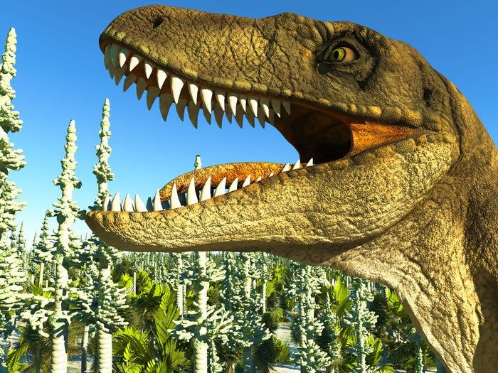 Dinosaurs