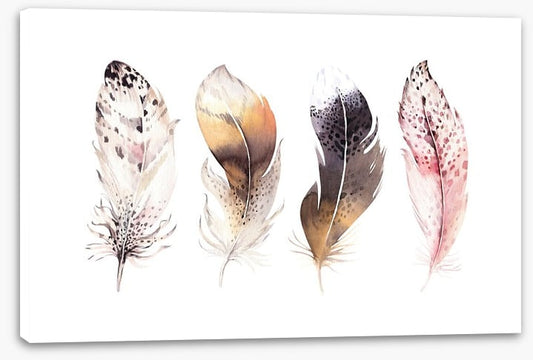 Feather me softly