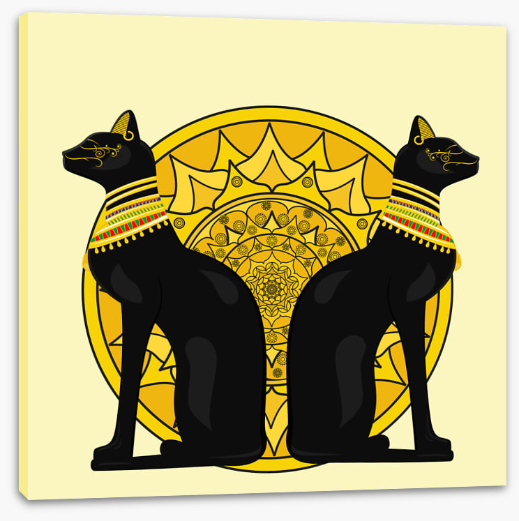 Cats of Cairo