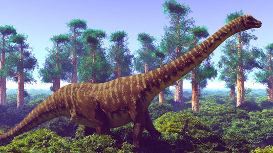 Dinosaurs