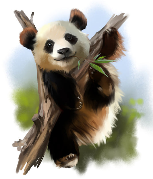 Little giant panda