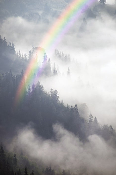 Rainbows