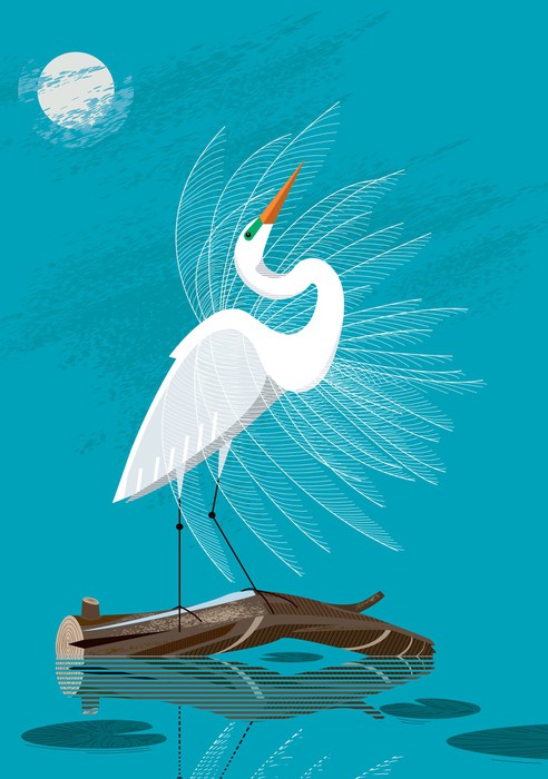White egret moon