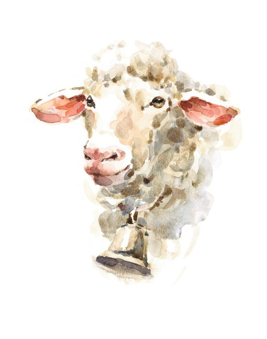 Sally the sheep