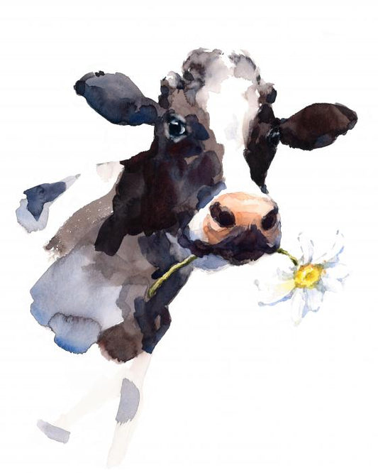 Daisy the cow
