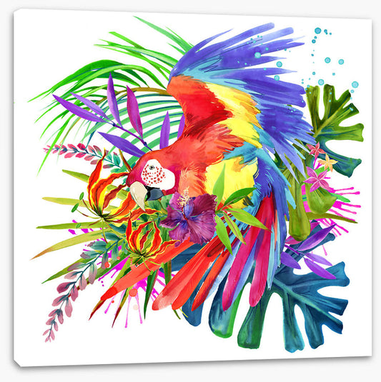 Paradise bloom parrot I