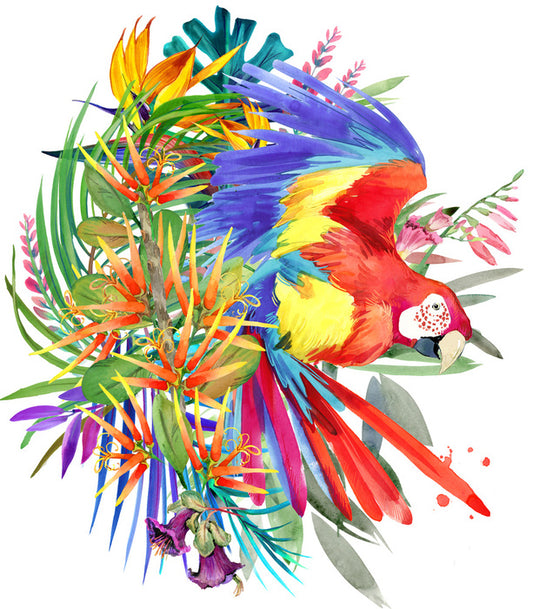 Paradise bloom parrot II
