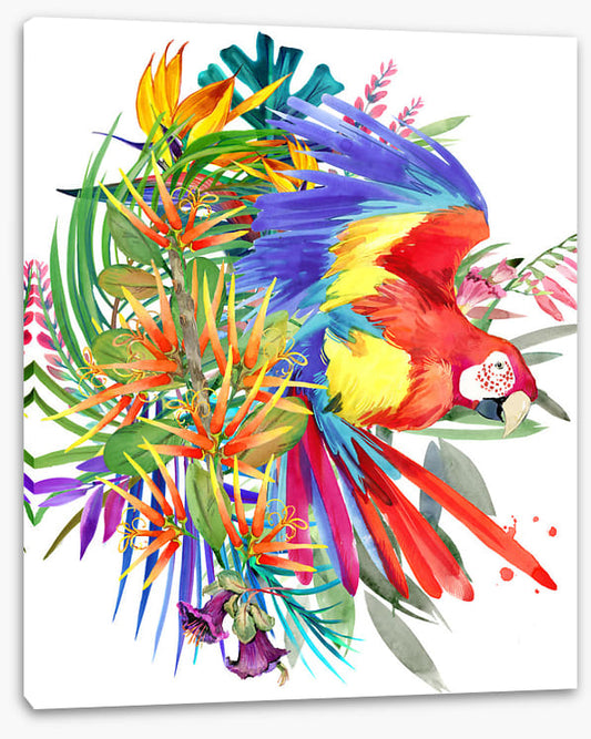 Paradise bloom parrot II