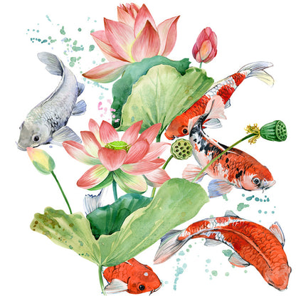 Pink lotus koi 1