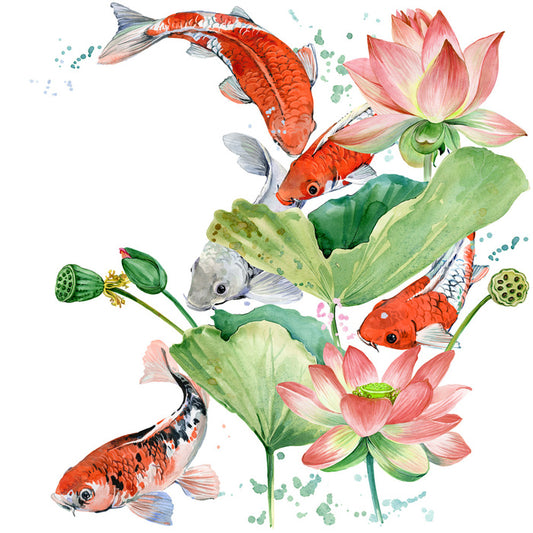 Pink lotus koi 2