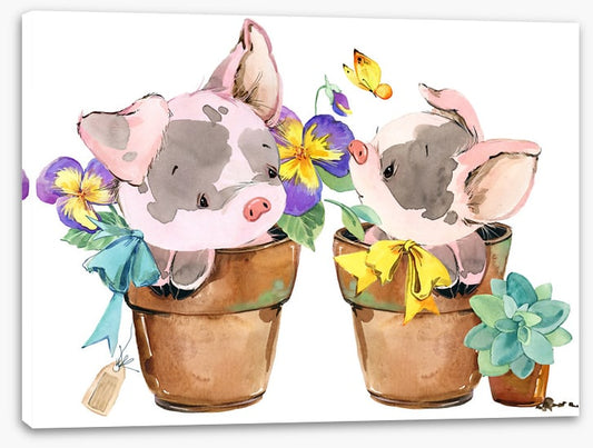 Potted pigs