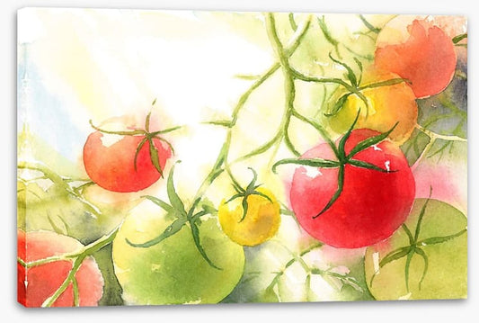 Vine ripened