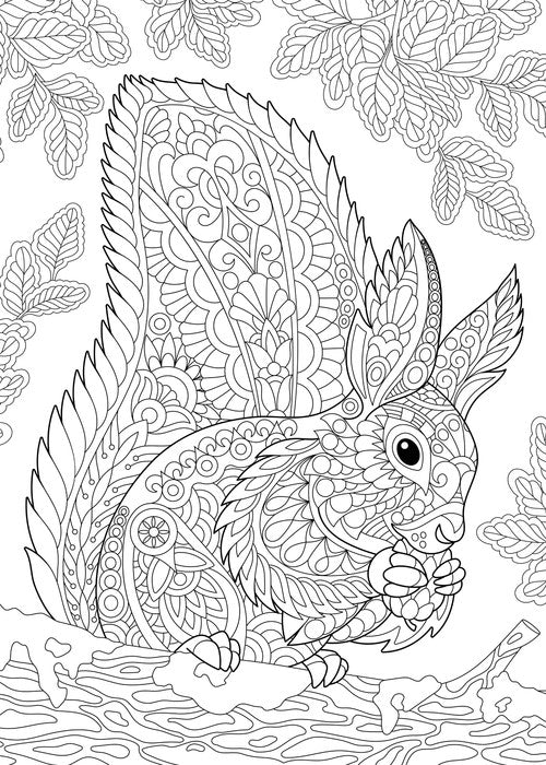 Colour Your Own