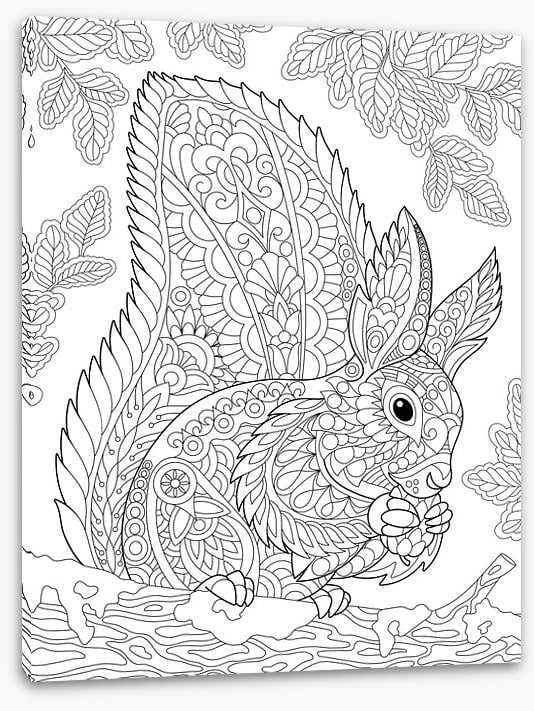 Colour Your Own