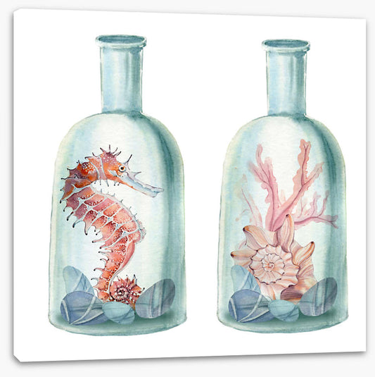 Ocean bottles