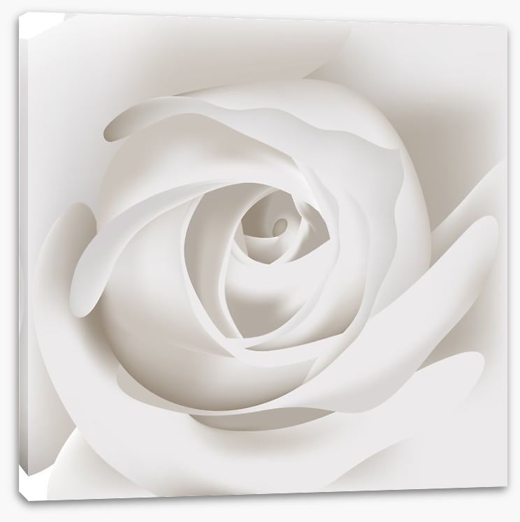 White rose whisper