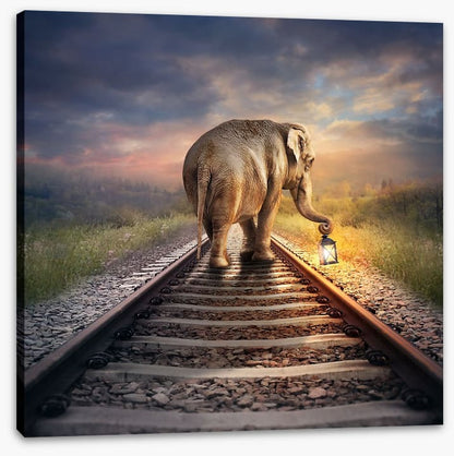 Lead the way