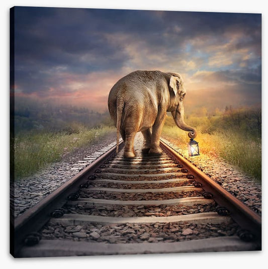 Lead the way