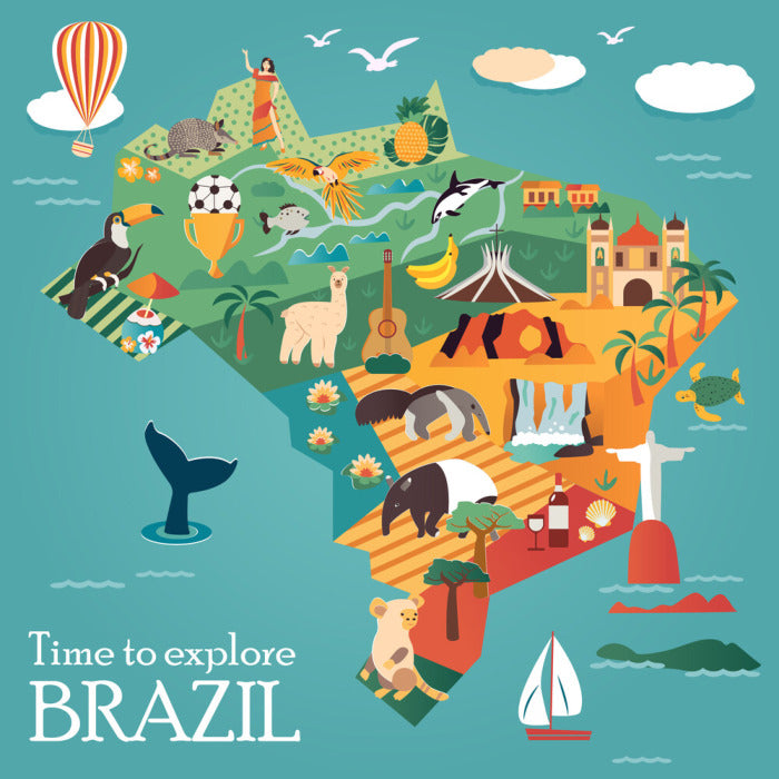 Explore Brazil