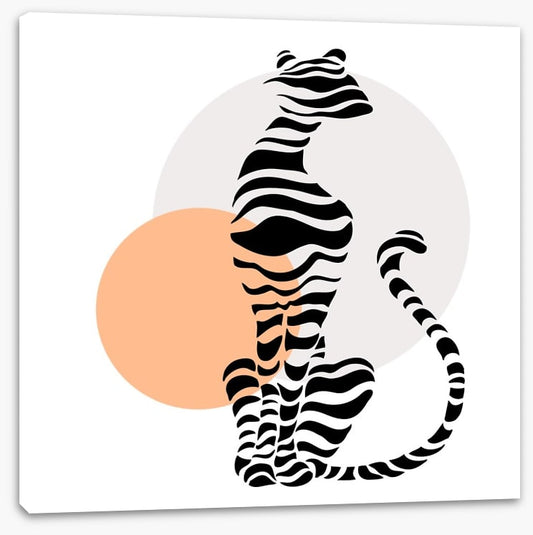 Big cat sundown