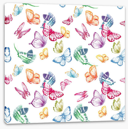 Butterflies
