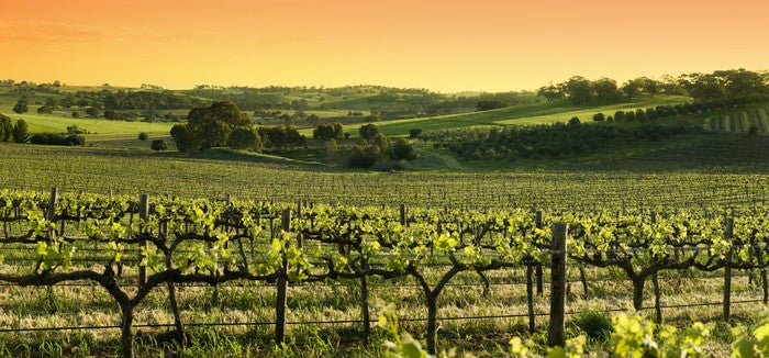 Barossa Valley sunset