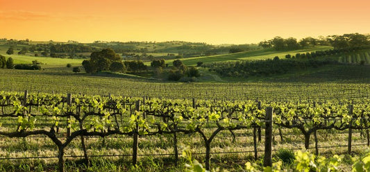 Barossa Valley sunset