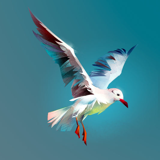 Birds