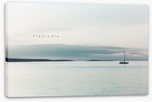 Following the birds