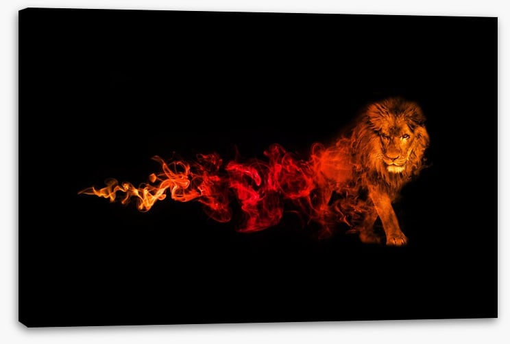 Lion of fire